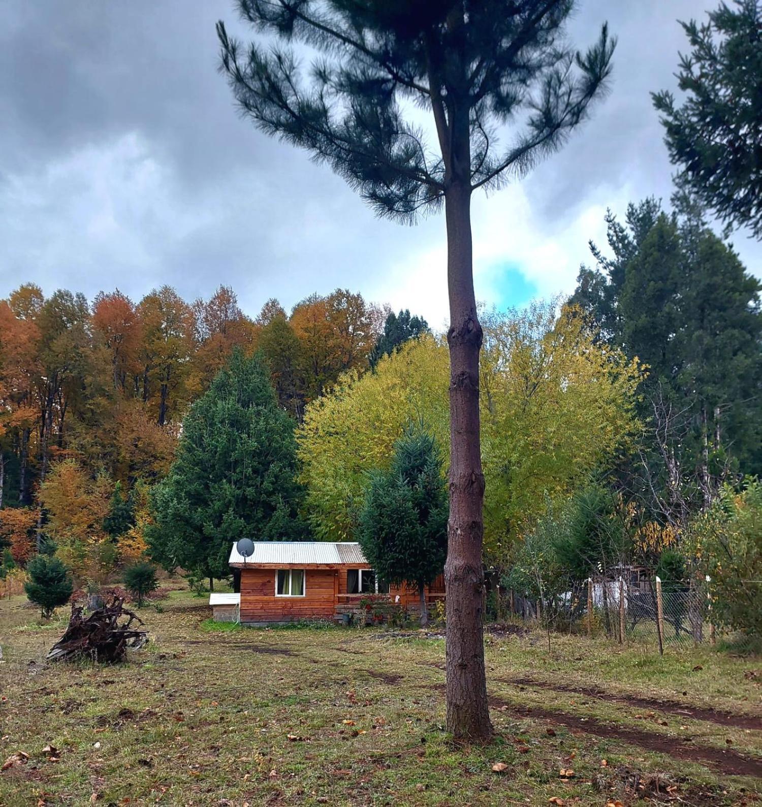 Cabana May Pao, Para 3 En Melipeuco Cerca Del Parque Nacional Conguillio المظهر الخارجي الصورة